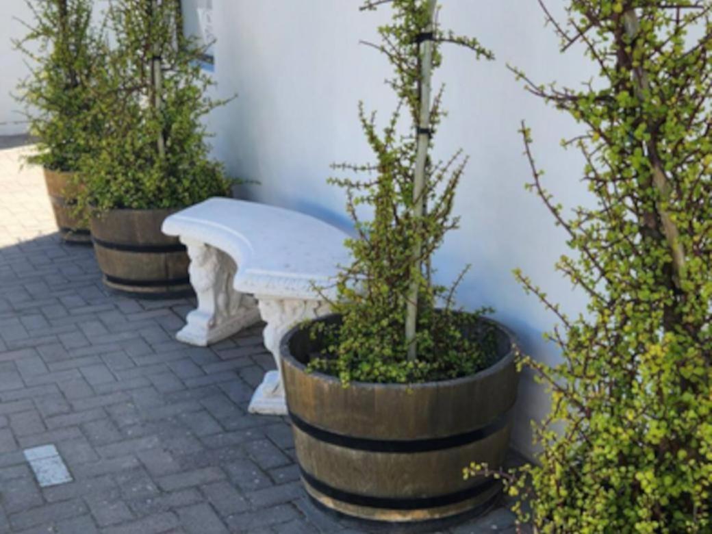 Paternoster Roosmarijn Rooms - Inverter Екстер'єр фото